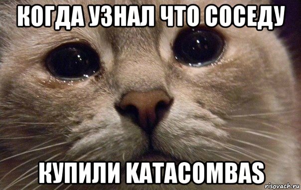 когда узнал что соседу купили katacombas, Мем   В мире грустит один котик