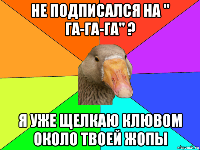 не подписался на " га-га-га" ? я уже щелкаю клювом около твоей жопы