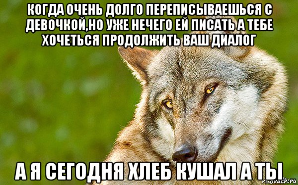 когда очень долго переписываешься с девочкой,но уже нечего ей писать а тебе хочеться продолжить ваш диалог а я сегодня хлеб кушал а ты, Мем   Volf