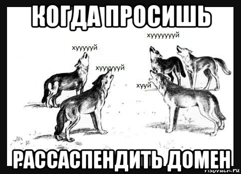 когда просишь рассаспендить домен