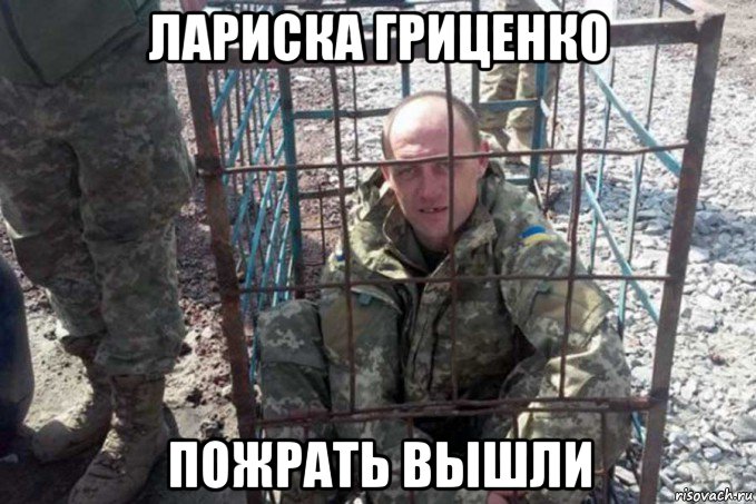 лариска гриценко пожрать вышли