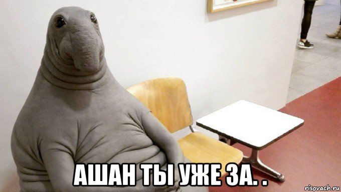  ашан ты уже за. .