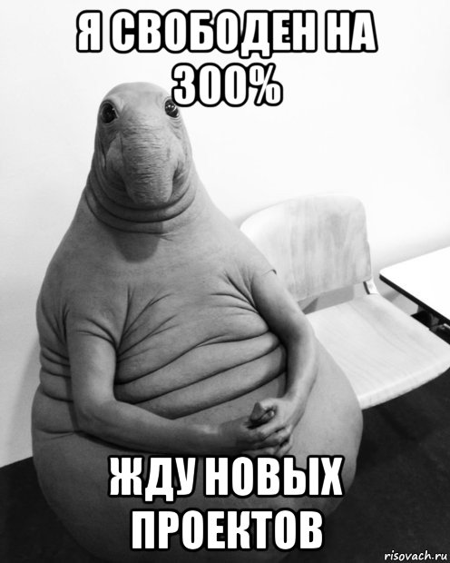 я свободен на 300% жду новых проектов, Мем  Ждун