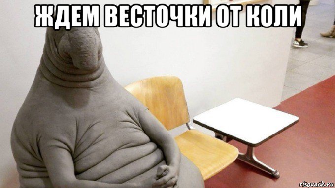 ждем весточки от коли 
