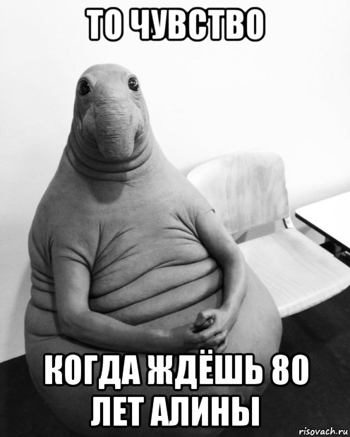 то чувство когда ждёшь 80 лет алины, Мем  Ждун