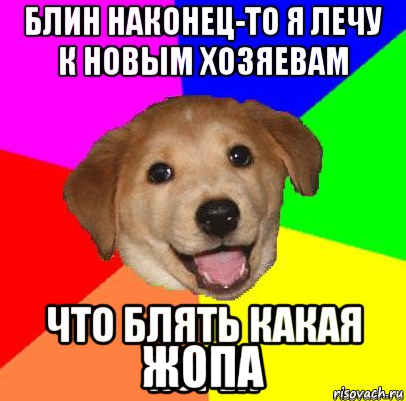  жопа