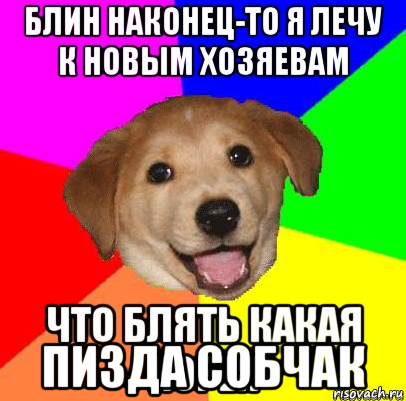  пизда собчак