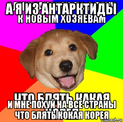 а я из антарктиды и мне похуй на все страны что блять кокая корея