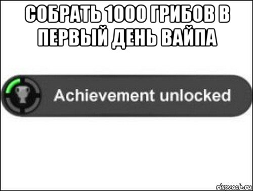 собрать 1000 грибов в первый день вайпа 