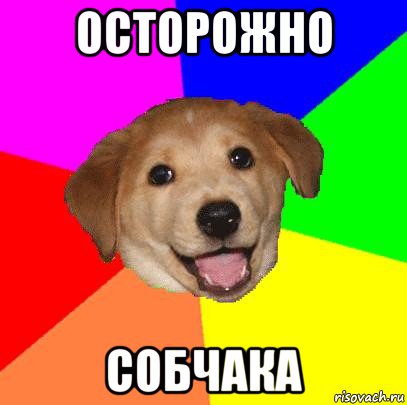 осторожно собчака, Мем Advice Dog