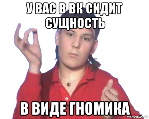 у вас в вк сидит сущность в виде гномика