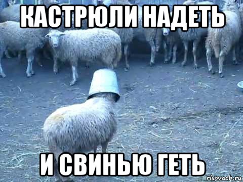 кастрюли надеть и свинью геть