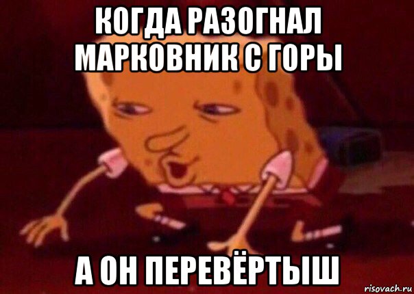 когда разогнал марковник с горы а он перевёртыш, Мем    Bettingmemes