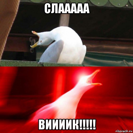 слааааа виииик!!!!!