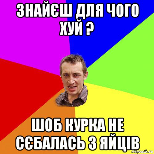 знайєш для чого хуй ? шоб курка не сєбалась з яйців, Мем Чоткий паца