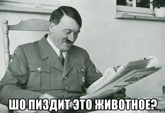  шо пиздит это животное?