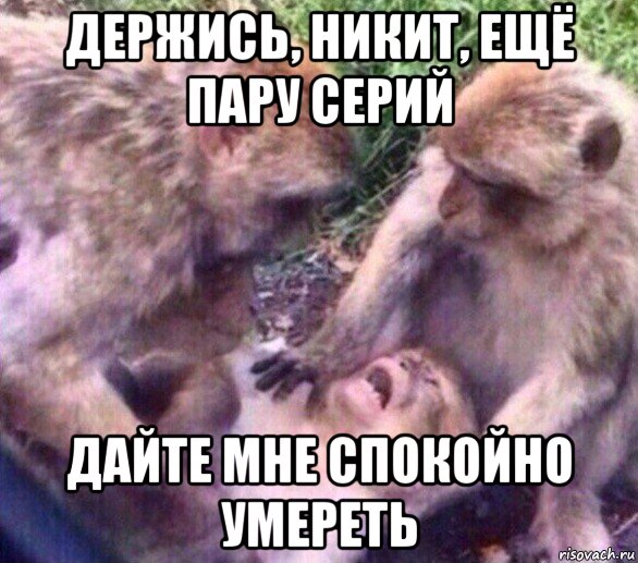 держись, никит, ещё пару серий дайте мне спокойно умереть