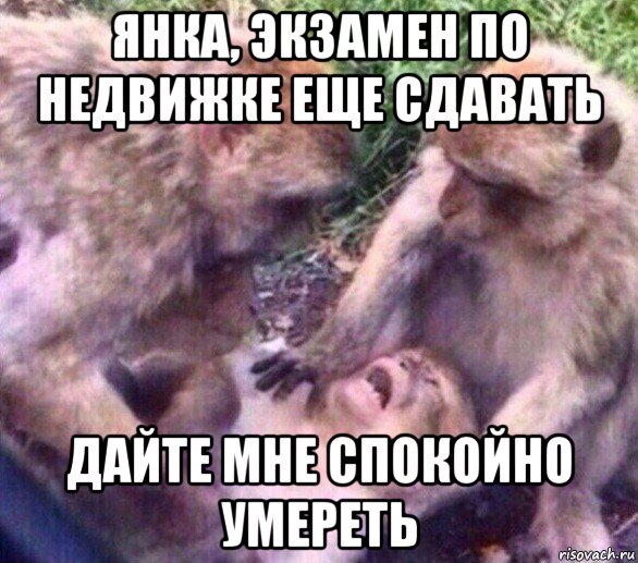 янка, экзамен по недвижке еще сдавать дайте мне спокойно умереть