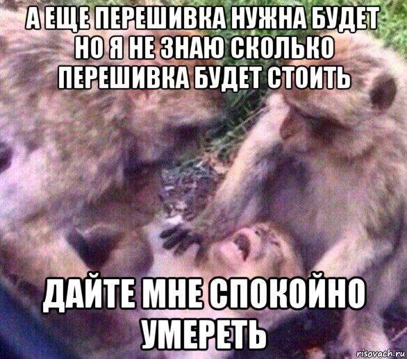 а еще перешивка нужна будет но я не знаю сколько перешивка будет стоить дайте мне спокойно умереть