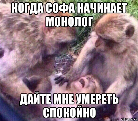 когда софа начинает монолог дайте мне умереть спокойно