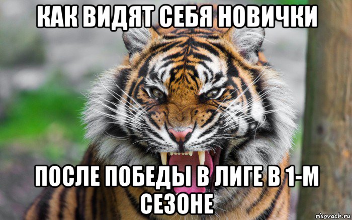 как видят себя новички после победы в лиге в 1-м сезоне, Мем ДЕРЗКИЙ ТИГР