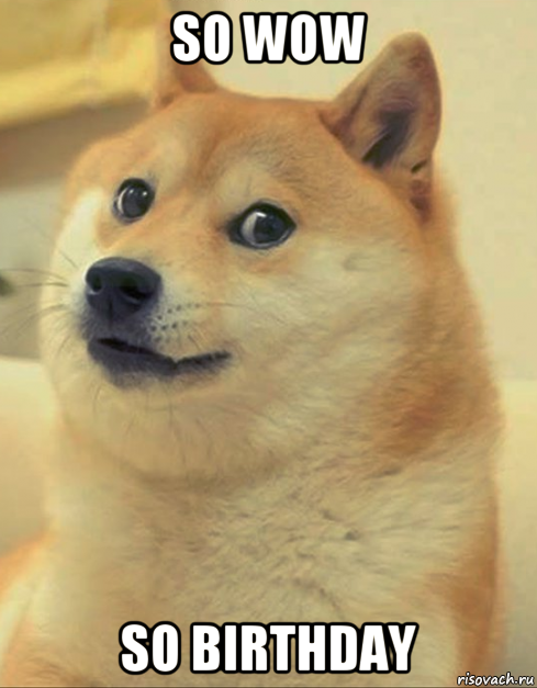 so wow so birthday, Мем doge woof