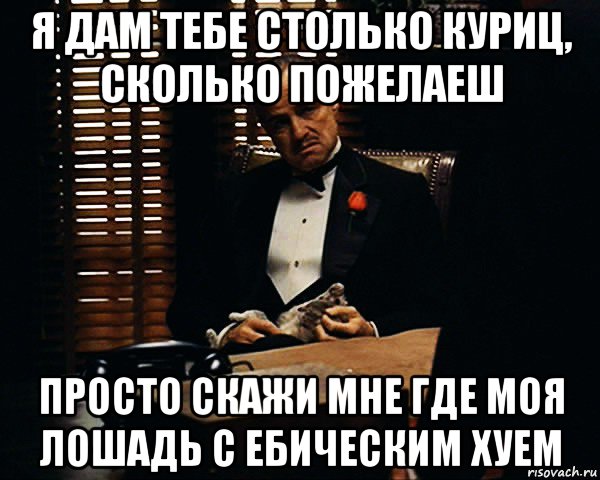 я дам тебе столько куриц, сколько пожелаеш просто скажи мне где моя лошадь с ебическим хуем, Мем Дон Вито Корлеоне