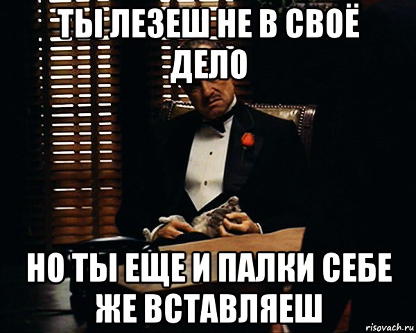 ты лезеш не в своё дело но ты еще и палки себе же вставляеш, Мем Дон Вито Корлеоне