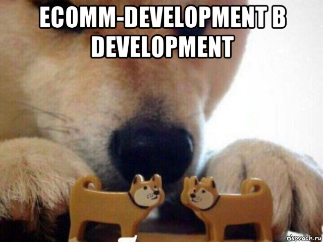 ecomm-development в development 