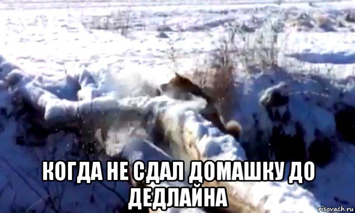  когда не сдал домашку до дедлайна