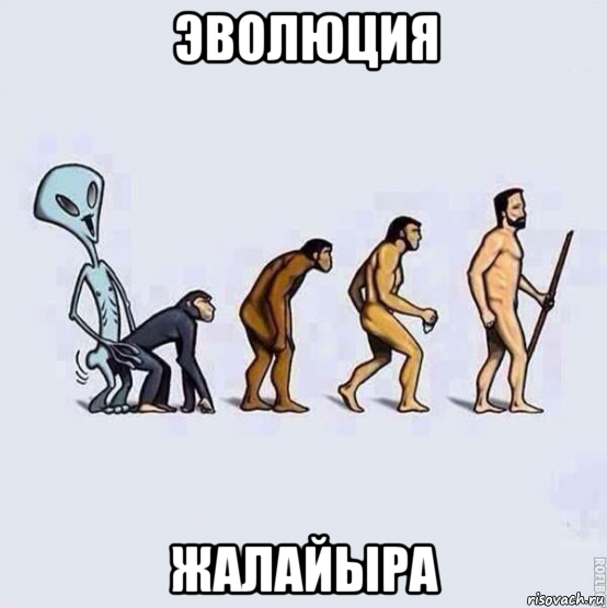 эволюция жалайыра, Мем Эволюция