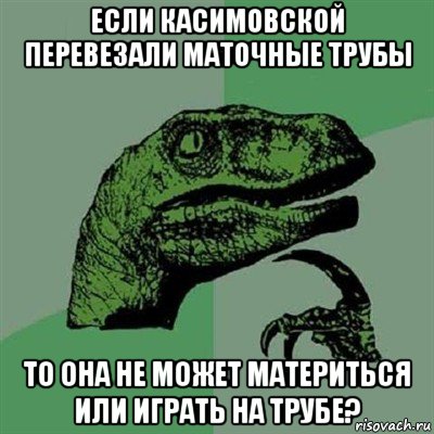 если касимовской перевезали маточные трубы то она не может материться или играть на трубе?, Мем Филосораптор