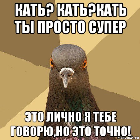 кать? кать?кать ты просто супер это лично я тебе говорю,но это точно!, Мем голубь