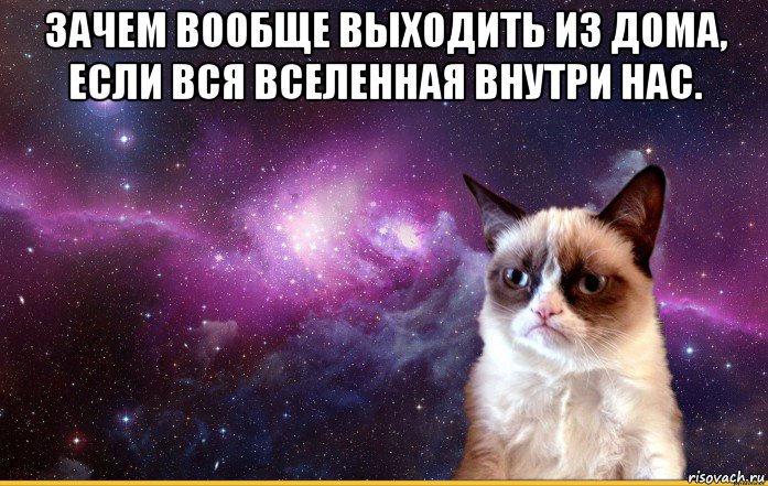 зачем вообще выходить из дома, если вся вселенная внутри нас. , Мем grumpy cat космос