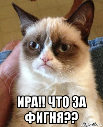  ира!! что за фигня??, Мем Grumpy Cat small