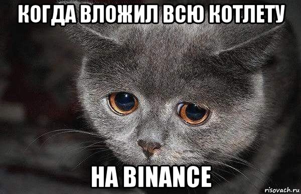 когда вложил всю котлету на binance, Мем  Грустный кот