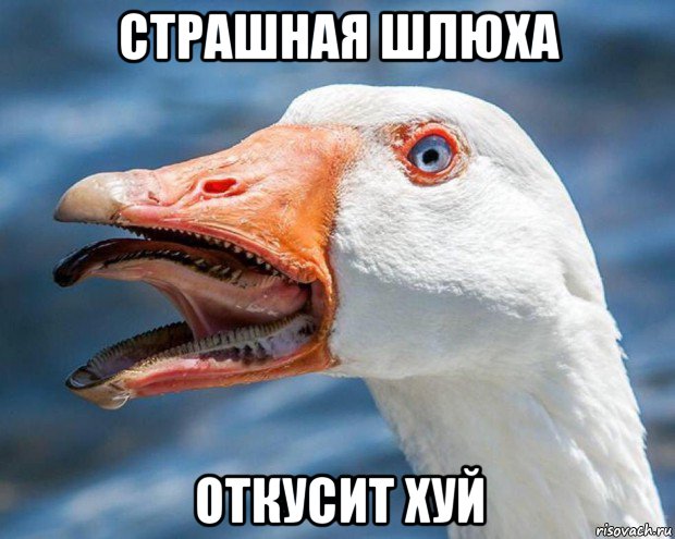 страшная шлюха откусит хуй, Мем Гуси гуси га-га-га