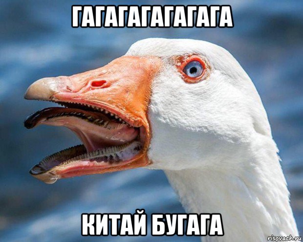 гагагагагагага китай бугага