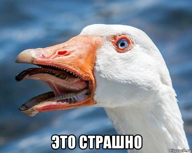  это страшно