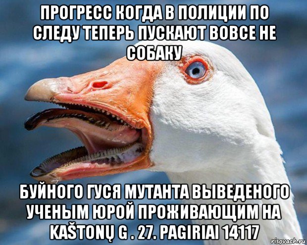 прогресс когда в полиции по следу теперь пускают вовсе не собаку буйного гуся мутанта выведеного ученым юрой проживающим на kaštonų g . 27. pagiriai 14117