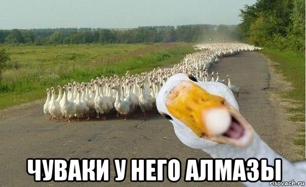  чуваки у него алмазы