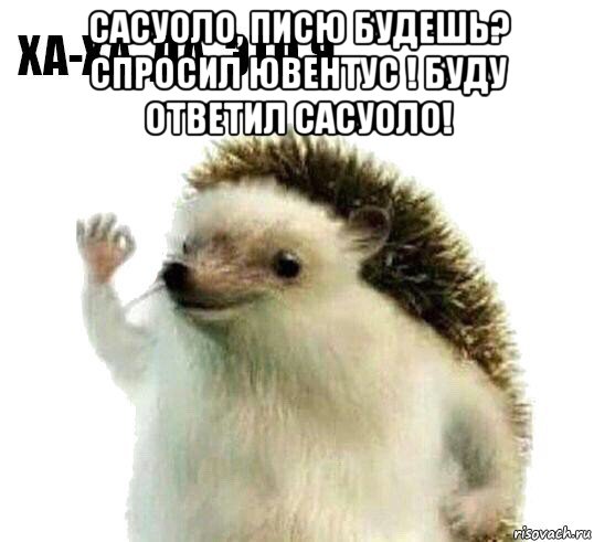 сасуоло, писю будешь? спросил ювентус ! буду ответил сасуоло! , Мем Ха-ха да это я