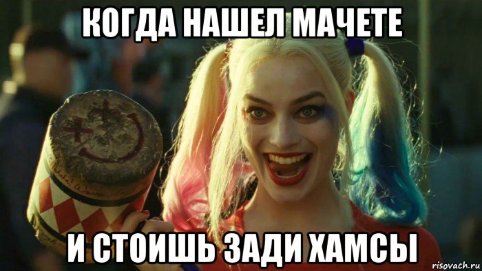 когда нашел мачете и стоишь зади хамсы, Мем    Harley quinn