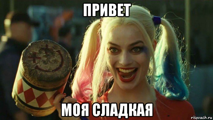 привет моя сладкая, Мем    Harley quinn