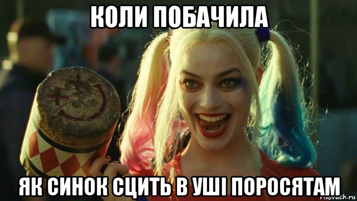 коли побачила як синок сцить в уші поросятам, Мем    Harley quinn