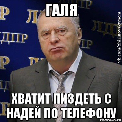 галя хватит пиздеть с надей по телефону, Мем Хватит это терпеть (Жириновский)