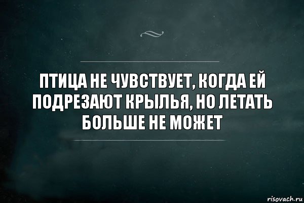 Птица не чувствует, когда ей подрезают крылья, но летать больше не может, Комикс Игра Слов