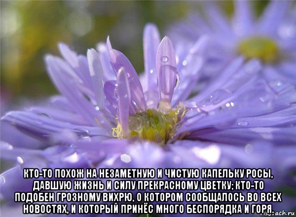  кто-то похож на незаметную и чистую капельку росы, давшую жизнь и силу прекрасному цветку; кто-то подобен грозному вихрю, о котором сообщалось во всех новостях, и который принёс много беспорядка и горя., Мем КАПЕЛЬКА РОСЫ