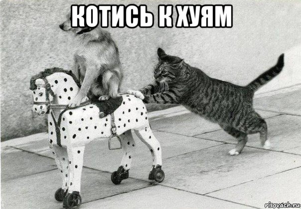 котись к хуям , Мем Катись к хуям