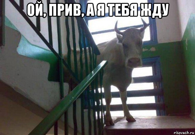 ой, прив, а я тебя жду 